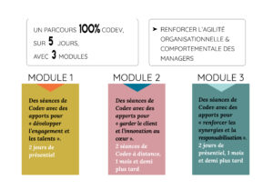 Les différents modules Cinaps pour un parcours de codéveloppement