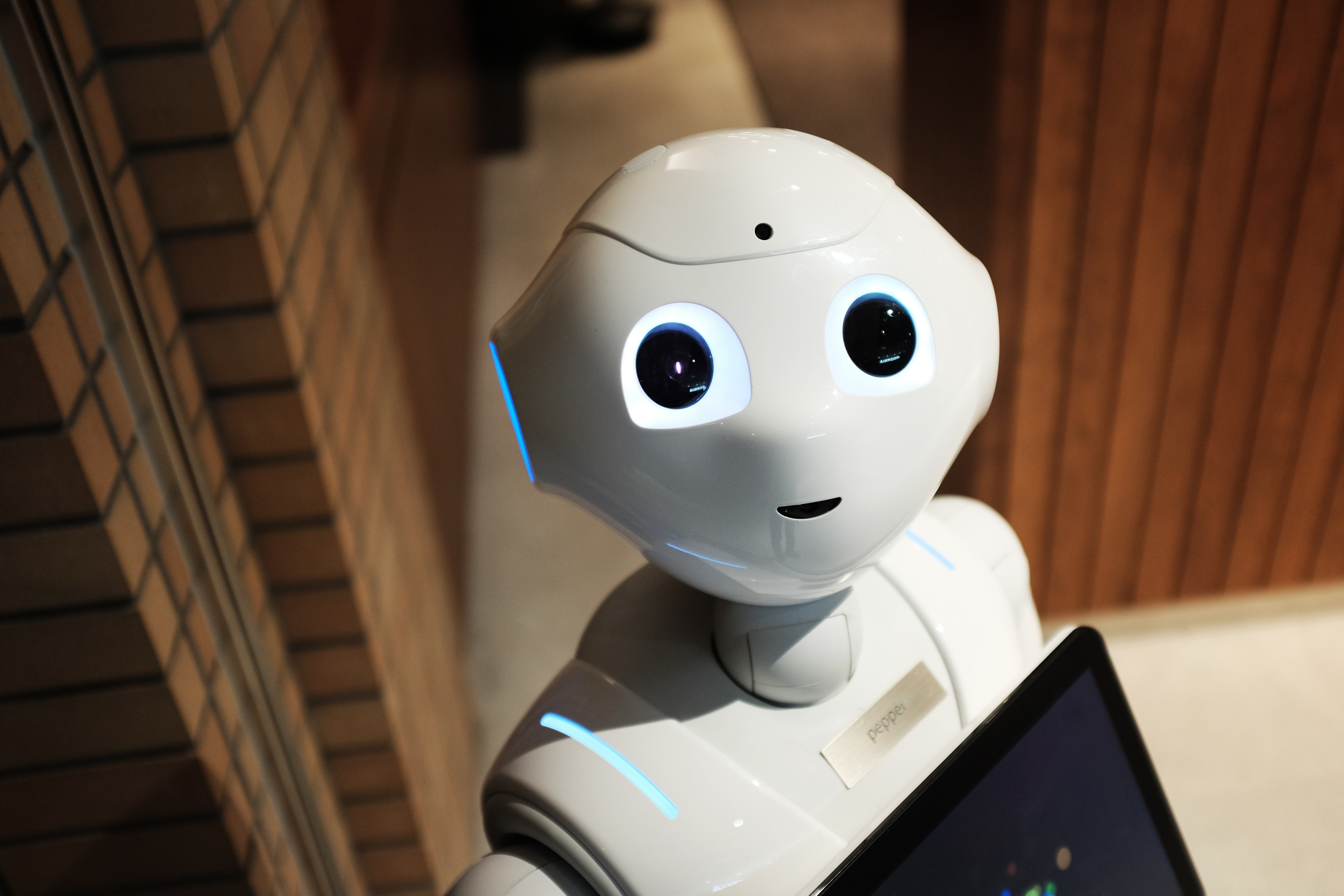 Pepper et intelligences artificielles