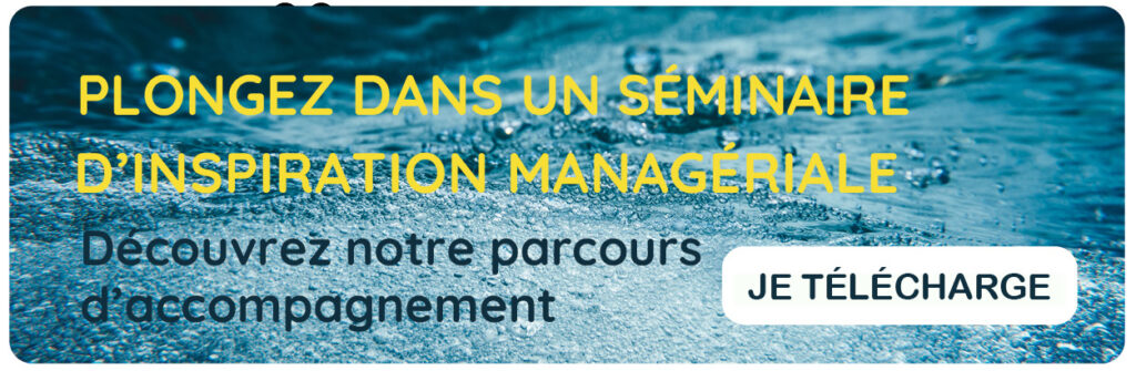 Séminaire d'inspiration managériale Cinaps