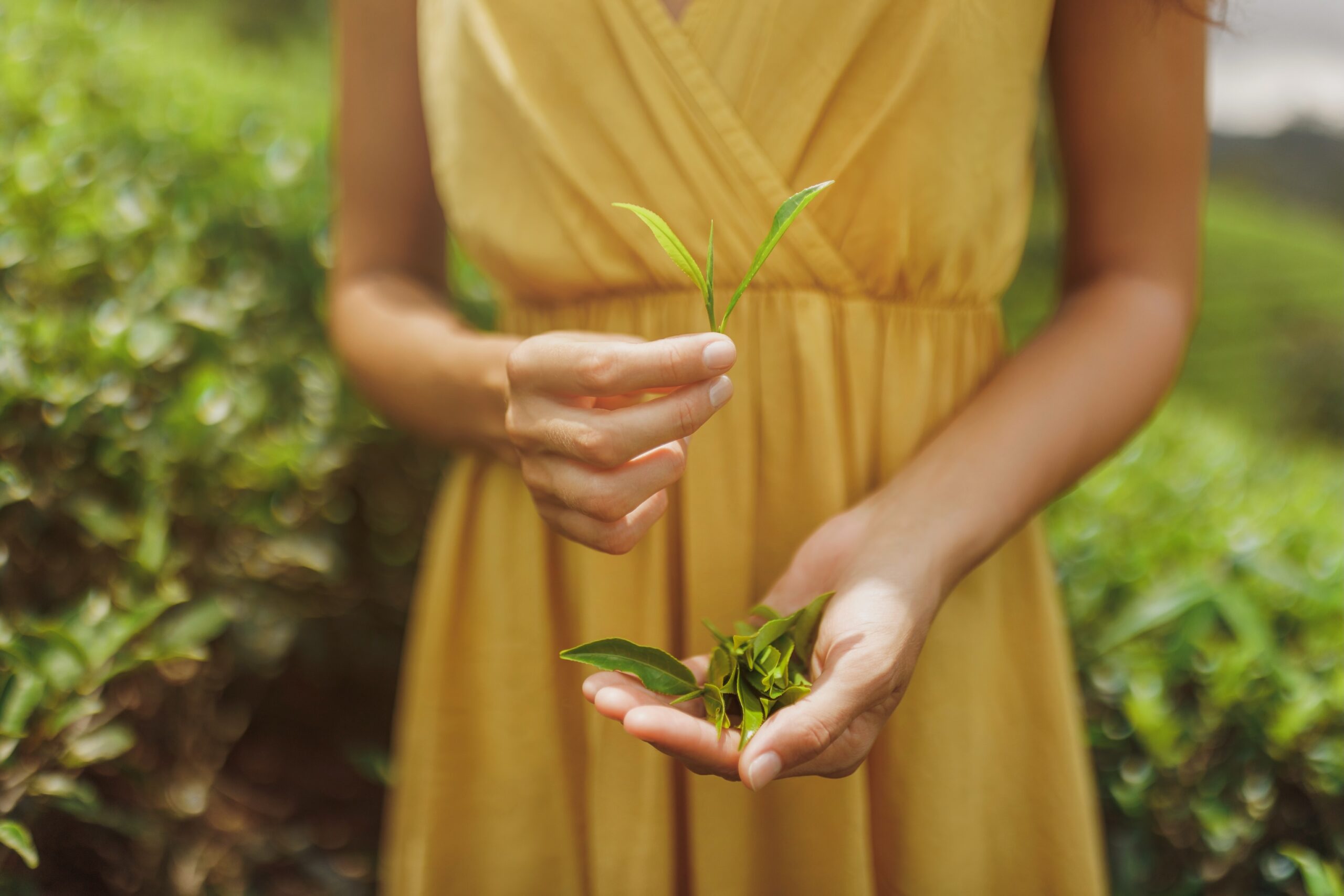 compétences relationnelles