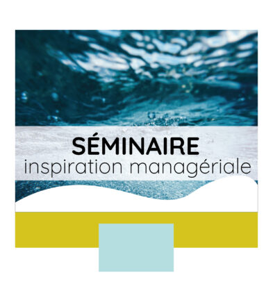 séminaire d'innovation managériale