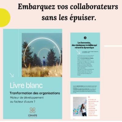 Transformation des organisations